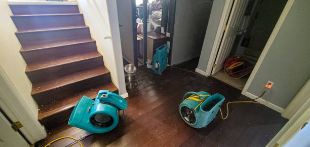 Best Water damage restoration company  in Upland, IN