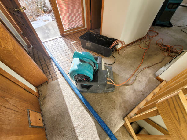 Best Basement water damage restoration  in Upland, IN