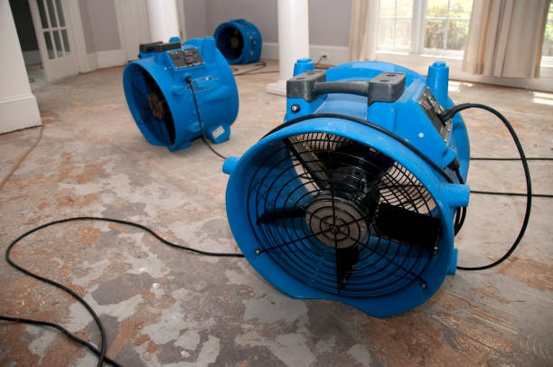 Best Ceiling water damage repair  in Upland, IN