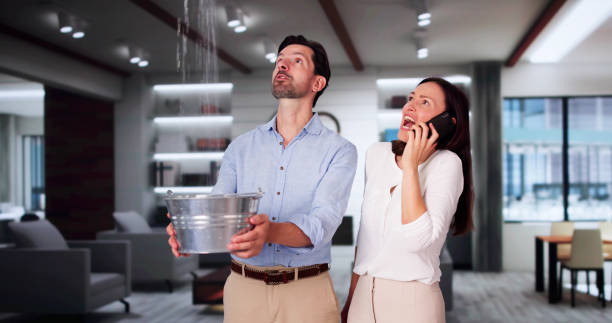 Best Water damage restoration near me  in Upland, IN